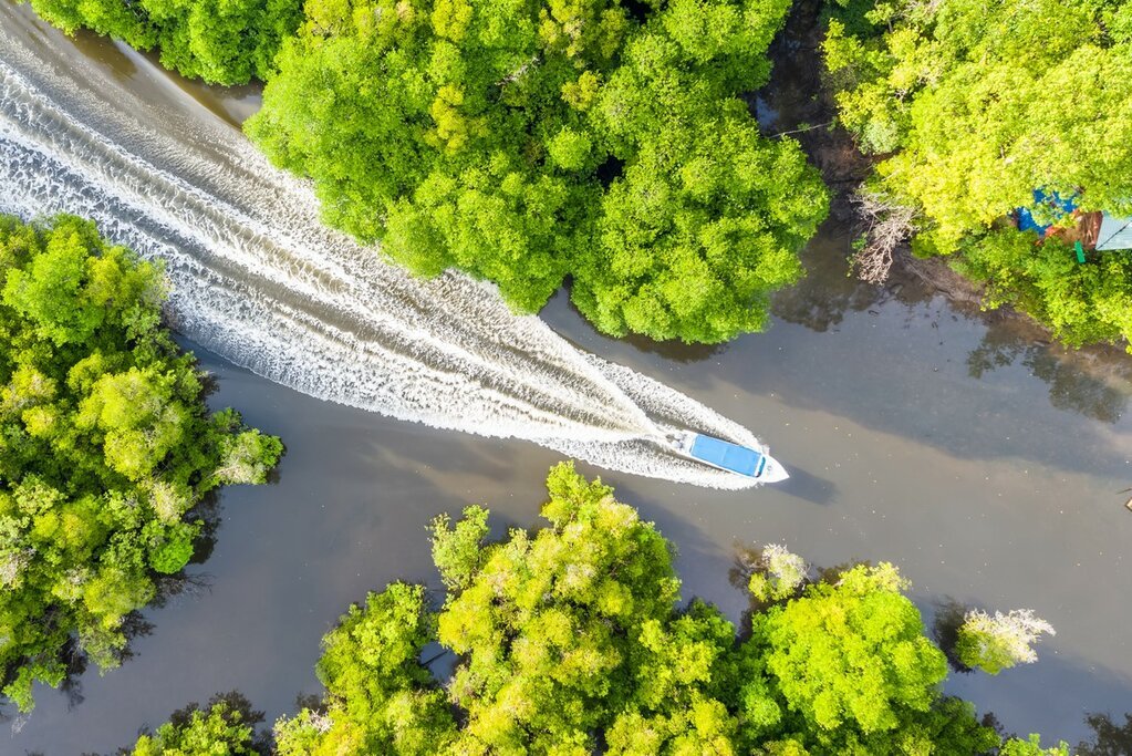 Borneo’s Wild Frontier